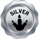 SILVER badge